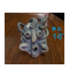 Pottery is my own creative photos（個別スタンプ：5）