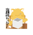 kitten Tama（個別スタンプ：35）