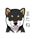 わんこ日和 黒柴の仔犬（個別スタンプ：36）