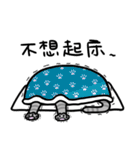 Cat Together3（個別スタンプ：15）