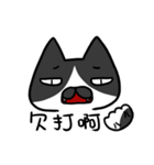 Cat Together3（個別スタンプ：29）