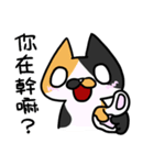 Cat Together3（個別スタンプ：30）