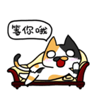 Cat Together3（個別スタンプ：33）