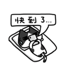 Cat Together3（個別スタンプ：34）