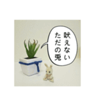 アロエの主義（個別スタンプ：7）