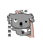 Koala hug（個別スタンプ：9）