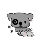 Koala hug（個別スタンプ：20）