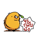 Jik Jik (Orange Chicky)（個別スタンプ：37）