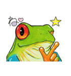 アカメ蛙（個別スタンプ：34）