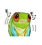 アカメ蛙（個別スタンプ：36）