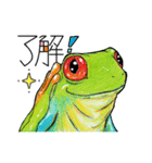 アカメ蛙（個別スタンプ：37）