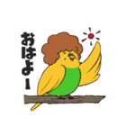 Rockin'Birds！（個別スタンプ：6）