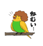 Rockin'Birds！（個別スタンプ：7）