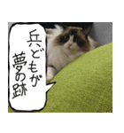 猫が代わりにお伝え その8（個別スタンプ：16）