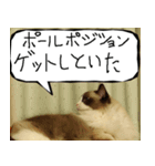 猫が代わりにお伝え その8（個別スタンプ：27）