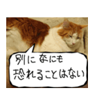 猫が代わりにお伝え その8（個別スタンプ：33）