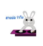 Rabbit Bigeye Animation（個別スタンプ：12）