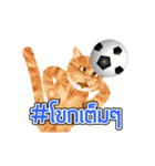 猫サッカー（個別スタンプ：8）