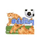 猫サッカー（個別スタンプ：10）