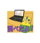 気が利くセキセイインコ ココ（個別スタンプ：15）