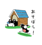 クロの日々（個別スタンプ：33）