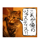 猫が代わりにお伝え その6（個別スタンプ：22）