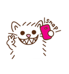 Salapao the Cat（個別スタンプ：5）