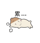 Hamster Count（個別スタンプ：4）