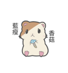 Hamster Count（個別スタンプ：19）