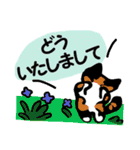 ねこ’sスタンプ ④（個別スタンプ：7）