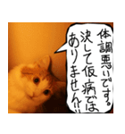 猫が代わりにお伝え その7（個別スタンプ：2）