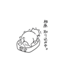 相原さんのスタンプ（個別スタンプ：21）