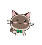 Chokdee Cute Cat DukDik1（個別スタンプ：1）