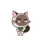 Chokdee Cute Cat DukDik1（個別スタンプ：3）