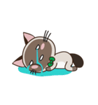 Chokdee Cute Cat DukDik1（個別スタンプ：4）