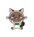 Chokdee Cute Cat DukDik1（個別スタンプ：7）