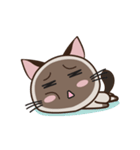 Chokdee Cute Cat DukDik1（個別スタンプ：9）