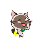 Chokdee Cute Cat DukDik1（個別スタンプ：10）