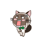 Chokdee Cute Cat DukDik1（個別スタンプ：11）