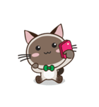 Chokdee Cute Cat DukDik1（個別スタンプ：12）