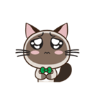 Chokdee Cute Cat DukDik1（個別スタンプ：13）