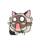 Chokdee Cute Cat DukDik1（個別スタンプ：15）