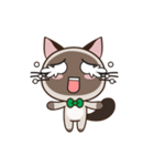 Chokdee Cute Cat DukDik1（個別スタンプ：19）