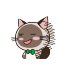 Chokdee Cute Cat DukDik1（個別スタンプ：20）