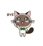 Chokdee Cute Cat DukDik1（個別スタンプ：21）