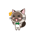 Chokdee Cute Cat DukDik1（個別スタンプ：22）
