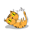 Tiger cry（個別スタンプ：5）