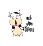 Khaitun cow the animations（個別スタンプ：11）