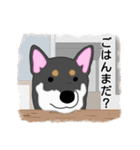 くろしばすたんぷ4（個別スタンプ：4）