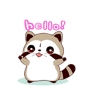 North American Raccoon（個別スタンプ：11）